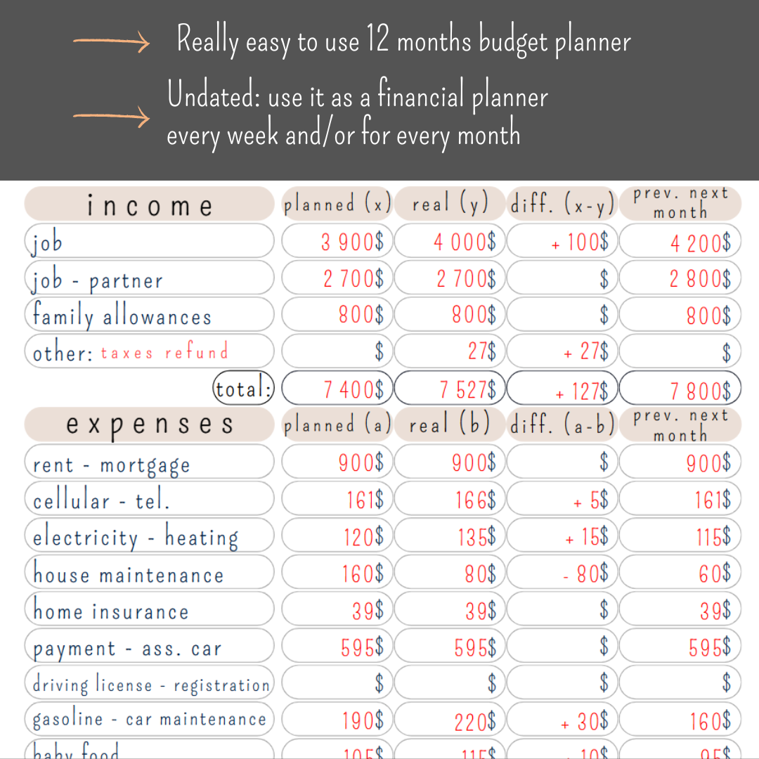 Planificateur de budget mensuel (inclus : format Excel automatisé + version PDF imprimable)