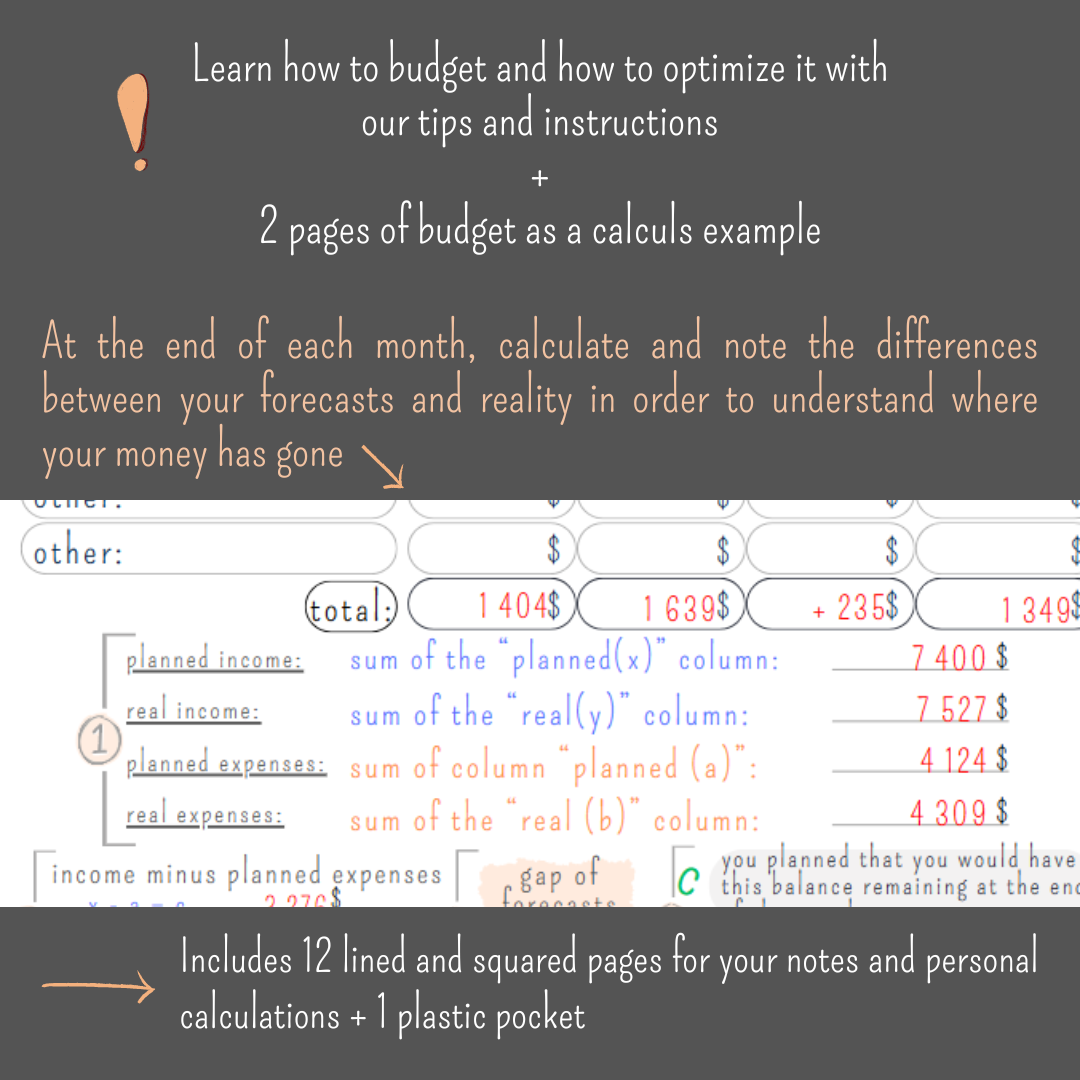 Planificateur de budget mensuel (inclus : format Excel automatisé + version PDF imprimable)