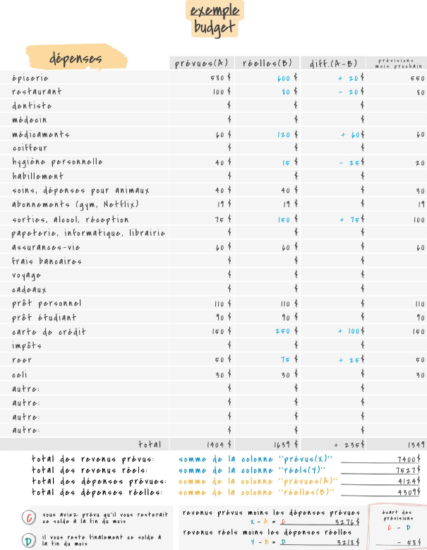 Planificateur de budget mensuel (inclus : format Excel automatisé + version PDF imprimable)