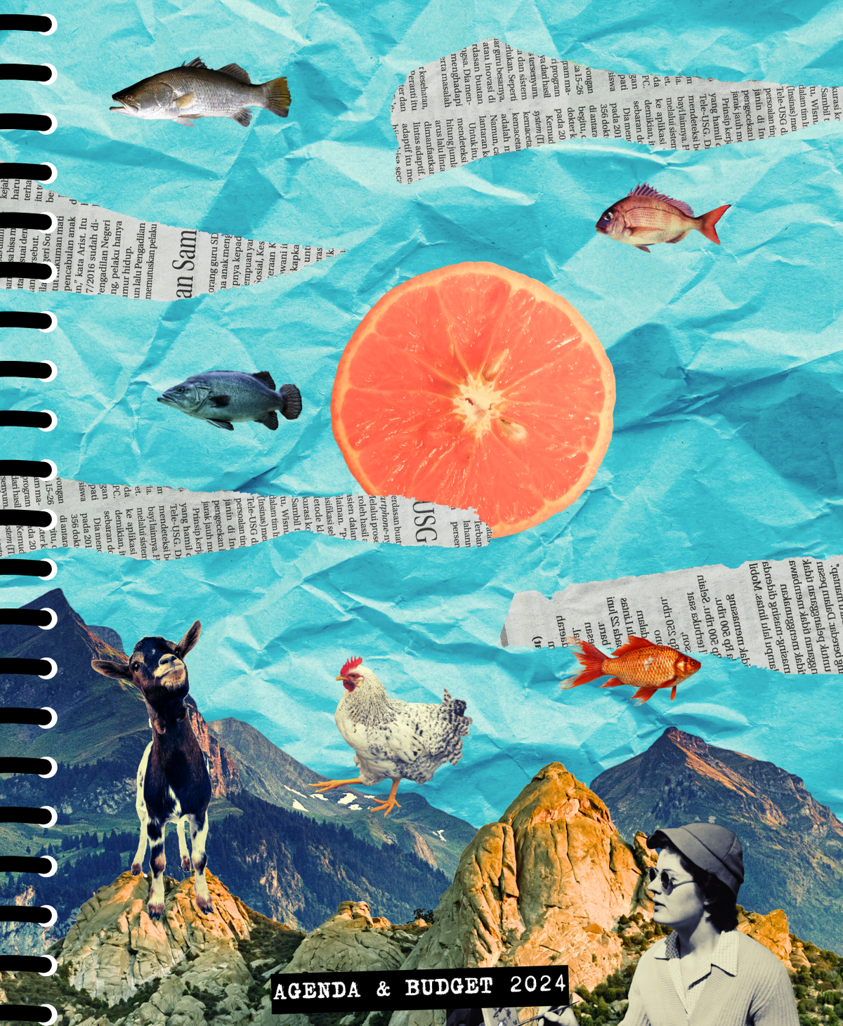 Agenda &amp; budget #19