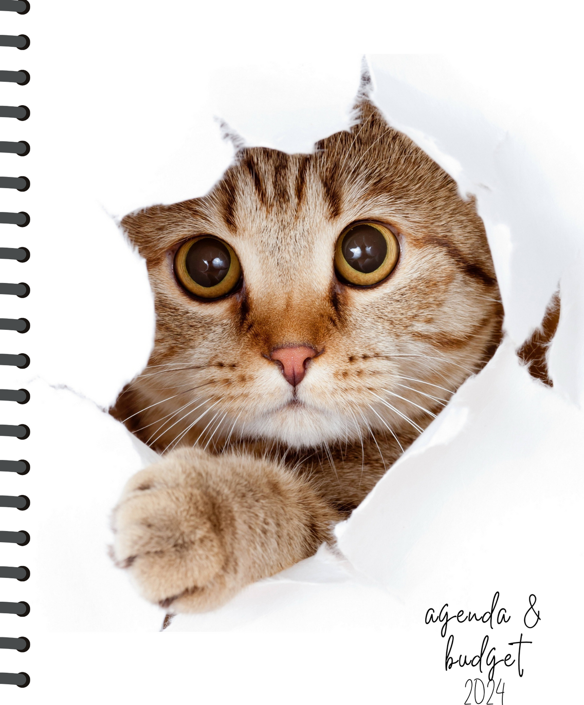 Agenda &amp; budget #27